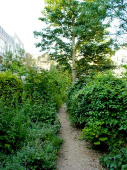 dichterlijke vrijheid