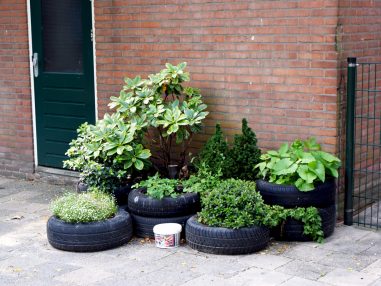 rembrandt kinderhof11